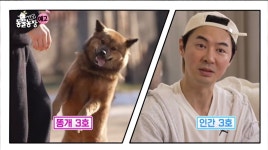 동물농장 똥개보필프로젝트에 참여중인 연예인과 임보 강아지들... 카테고리 동물농장 똥개보필프로젝트에 참여중인 연예인과 임보 강아지들