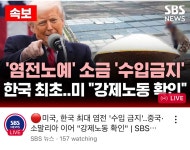 미국, 한국 최대 염전에 수입금지 조치 - 인스티즈(instiz) 이슈 카테고리