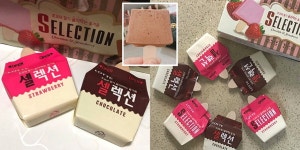 셀렉션 아이스크림 초코 vs 딸 - 인스티즈(instiz) 이슈 카테고리