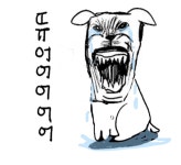 듀 가나디 추하게 우는 짤 있는 여시 - 인스티즈(instiz) 이슈 카테고리 듀 가나디 추하게 우는 짤 있는 여시