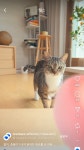 춘봉 첨지 근황 - 인스티즈(instiz) 이슈 카테고리