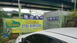 왜관 게이 - 인스티즈(instiz) 이슈 카테고리 왜관 게이