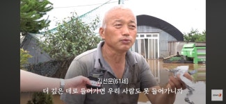 이번 폭우로 망연자실하고 서있는 젊은 목장주…jpg - 인스티즈(instiz) 이슈 카테고리 이번 폭우로 망연자실하고 서있는 젊은 목장주…jpg