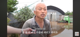 이번 폭우로 망연자실하고 서있는 젊은 목장주…jpg - 인스티즈(instiz) 이슈 카테고리 이번 폭우로 망연자실하고 서있는 젊은 목장주…jpg