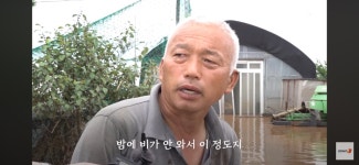 이번 폭우로 망연자실하고 서있는 젊은 목장주…jpg - 인스티즈(instiz) 이슈 카테고리 이번 폭우로 망연자실하고 서있는 젊은 목장주…jpg