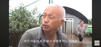 이번 폭우로 망연자실하고 서있는 젊은 목장주…jpg - 인스티즈(instiz) 이슈 카테고리 이번 폭우로 망연자실하고 서있는 젊은 목장주…jpg