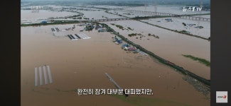 이번 폭우로 망연자실하고 서있는 젊은 목장주…jpg - 인스티즈(instiz) 이슈 카테고리 이번 폭우로 망연자실하고 서있는 젊은 목장주…jpg
