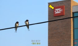 잘 어울리는 우체국 cf 모델 - 인스티즈(instiz) 이슈 카테고리 잘 어울리는 우체국 cf 모델