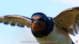 잘 어울리는 우체국 cf 모델 - 인스티즈(instiz) 이슈 카테고리 잘 어울리는 우체국 cf 모델