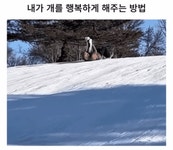 개를 행복하게 해주는 방법 - 인스티즈(instiz) 이슈 카테고리 개를 행복하게 해주는 방법