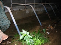 오늘의유머 - 흉가유람기 흉가유람기