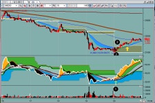 대박주 자판기와 오스템임플란트 : 오스템(031510)