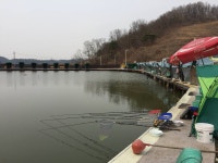 오산나그네-오산나그네의 거일낚시터 조행기 : 낚시사랑
