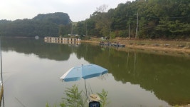 물 맑고 밓 좋은 용인 삼인 낚시터!! : 낚시사랑