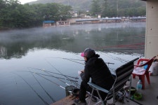 동교낚시터 헐~ 초보자가 50수!!  허프로 조황기 : 낚시사랑