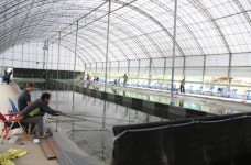 허프로 big 조황정보&하우스 장어낚시터 개장  : 낚시사랑