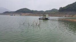 짱가네낚시터 조황정보 : 낚시사랑