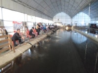 100%꽝없는 장어낚시터!? : 낚시사랑