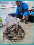 도심속의 작응 쉼터!  화성 관리 낚시터입니다..[지역타파를 위해 애 쓰고 있습니다만...] : 낚시사랑