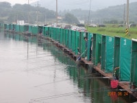 ***오빈낚시터*** 주말 조황정보 및 방류 소식 전합니다 : 낚시사랑