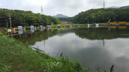 저수율  풀만수입니다  찌올림   굿...... : 낚시사랑