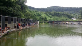 공주 큰목골낚시터 7월17일 소식 : 낚시사랑