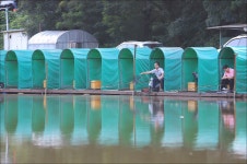 이틀 연속으로 고른 조황입니다. : 낚시사랑