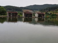 반제지터지기시작합니다  : 낚시사랑