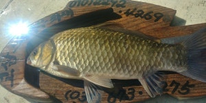 감사한 하루^^~~~ : 낚시사랑