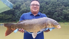 호우와 함께한  계속되는 호조황!!-용인삼인낚시터- : 낚시사랑