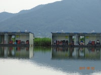 ***오빈낚시터*** 주중조황 정보및 방류소식 전합니다 : 낚시사랑