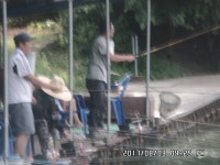 포천 마전낚시터 주중조황소식을 올립니다 : 낚시사랑