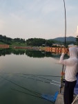 2017년 8월 4~5일 조황정보 : 낚시사랑