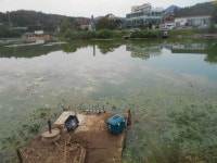 8월 7일 조황 정보 : 낚시사랑
