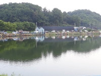 주말조황및 방류소식 : 낚시사랑