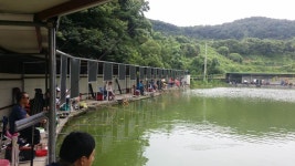 공주 큰목골낚시터 8월13일 소식 : 낚시사랑