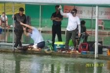 입추,말복지나 큰 더위는 없는 듯!~휴가와 연휴때 찾아주신 여러분 감사합니다!~^^  : 낚시사랑