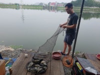 안성  거청낚시터  좌대낚시  붕어조황  2017년 08월   19  일 : 낚시사랑