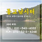 ***붕어들 적응됐다 20일 허프로 조황정보*** : 낚시사랑
