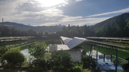 아침을  여는 사람들 : 낚시사랑