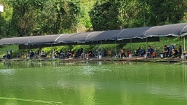 (삼하)붕어의 변덕스러움 : 낚시사랑