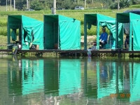 ***오빈낚시터*** 주말 조황정보 및 방류 소식 전합니다 : 낚시사랑