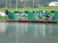 ***오빈낚시터*** 주말 조황정보 및 방류 소식 전합니다 : 낚시사랑