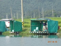 ***오빈낚시터*** 주말 조황정보 및 방류 소식 전합니다 : 낚시사랑