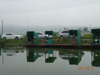 ***오빈낚시터*** 주말 조황정보 및 방류 소식 전합니다 : 낚시사랑