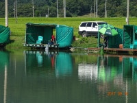 ***오빈낚시터*** 주중조황 정보및 방류소식 전합니다*** : 낚시사랑