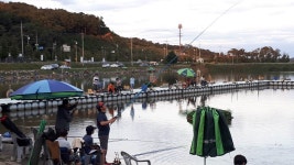 9월 세 째주 길상낚시터 모습입니다~ : 낚시사랑