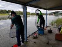 중부낚시터(성미지) 9월 21일 조황정보 : 낚시사랑