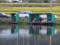 ***오빈낚시터*** 주중조황 정보및 방류소식 전합니다*** : 낚시사랑