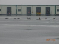 ***오빈낚시터*** 주말 조황정보 및 방류 소식 전합니다 : 낚시사랑